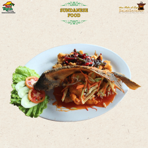 GURAME 2 RASA MEDIUM